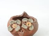 a small vase with two flowers on it on a white surface