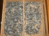 a wooden box filled with lots of small pieces of metal