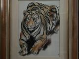 tableau représentant un tigre couché, encadré et accroché au mur