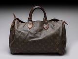 louis vuitton speedy mm monogram canvas