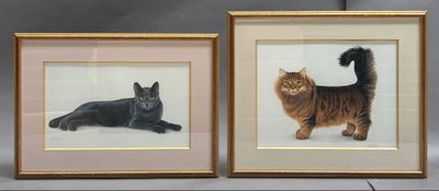 deux photos encadrées représentant un chat et un chat allongé sur une table