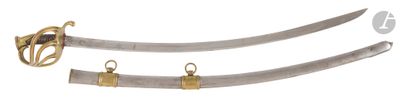 two swords with gold handles and a hook on a white background