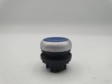 a close up of a blue and white button on a white surface