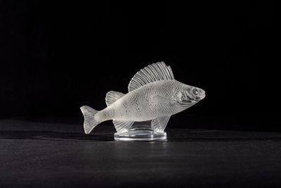 clear fish figurine sitting on a black surface with a black background