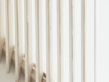 a cat that is sitting on the floor next to a radiator