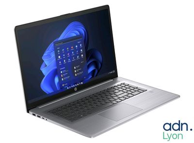 Ordinateur portable HP Probook 470 G7 Gris - Intel Core I5-1…