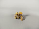 a close up of a bunch of small yellow flowers on a white surface