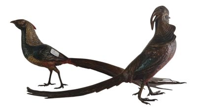 pair of pheasants on a white background