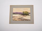 a picture of a painting hanging on the wall