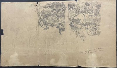 un vieux livre sur lequel est dessiné un arbre