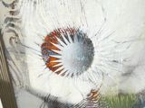 une photo d'un tableau représentant une fleur, dans un cadre