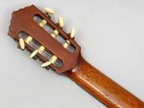 a close up of a guitar with a wooden handle