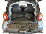 the back of a car with the trunk open and a dog sitting in the trunk