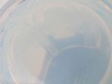 a plastic bowl with a blue liquid inside of it