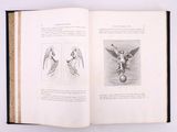 an open book with pictures of birds on it