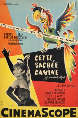 a poster for a movie starring a parrot and a woman