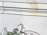 a picture of a picture of a flower on a table