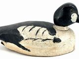 un canard noir et blanc perché sur un rocher