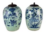 une paire de vases bleus et blancs ornés de motifs asiatiques