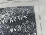 a black and white picture of a bird in a tree