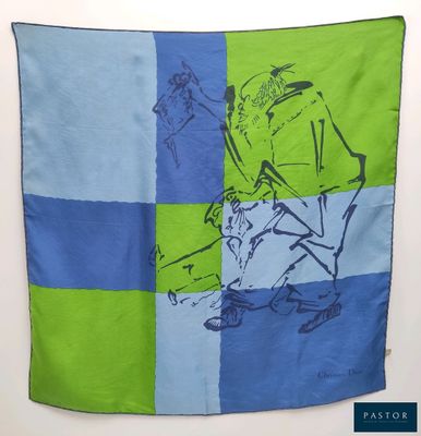 an image of a blue and green blanket with a picture of a man on a skateboard