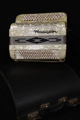 une photo d'un accordéon ancien posé sur une valise