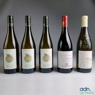 several bottles of wine are lined up on a table