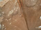 a close up of a piece of wood that has been cut in half