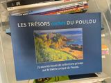 Photo 19/37 du lot