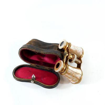 a pair of binoculars in a case on a white surface