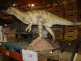 a fake dinosaur that is on display in a store