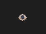 Photo 1/1 du lot