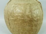 une image représentant une pomme sur une assiette blanche