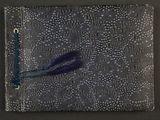 an image of a close up of a piece of cloth with a feather on it