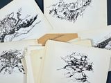 six dessins à l'encre en noir et blanc représentant un groupe d'arbres