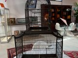 une cage à oiseaux posée sur une table au milieu d'une pièce