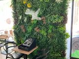 a green wall with plants growing on it in a restaurant