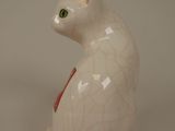 a white cat with green eyes sitting on a white surface