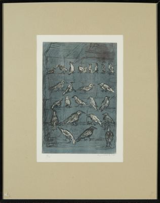 a picture of a group of birds that are flying in the air