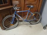 a blue bike parked in front of a wooden door