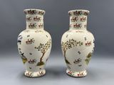 paire de vases en porcelaine chinoise ornés d'oiseaux et de fleurs