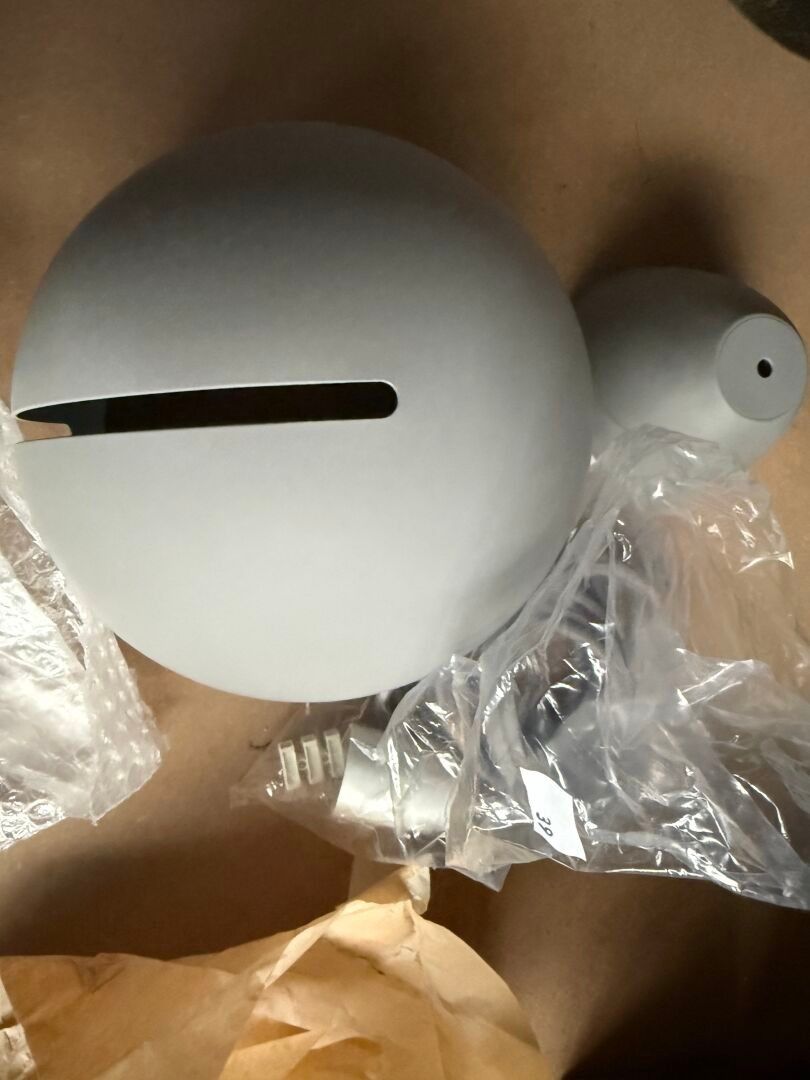 Objets d'art & Curiosités