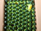 une boîte en carton remplie de bouteilles de soda vertes