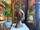 a bust of a man sitting on a table in a living room
