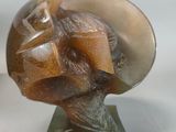 a sculpture of a shell on a stand on a white surface