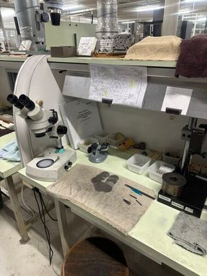 un microscope dans une pièce où la table est encombrée d'objets