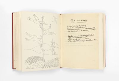 un livre ouvert sur lequel figurent le dessin d'une plante et d'un oiseau