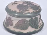 une boîte en verre ornée d'un motif de feuilles