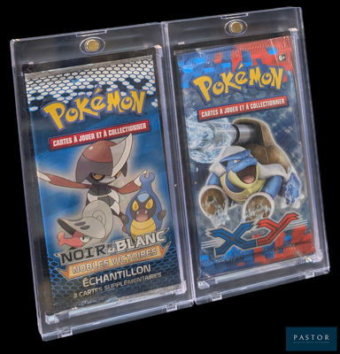 deux cartes à collectionner Pokémon dans un étui en plastique transparent