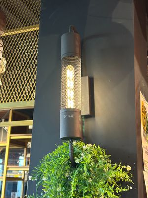 a potted plant on a table in front of a wall light